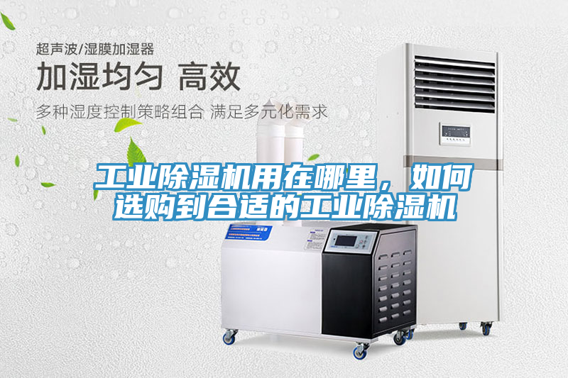 工業(yè)除濕機(jī)用在哪里，如何選購到合適的工業(yè)除濕機(jī)