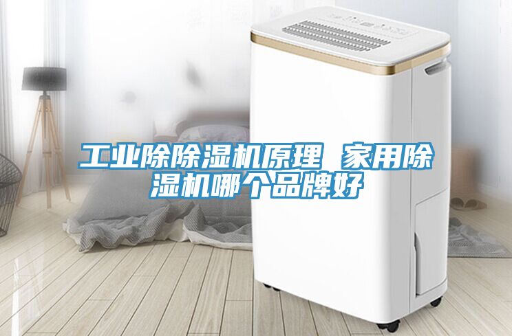 工業除除濕機原理 家用除濕機哪個品牌好