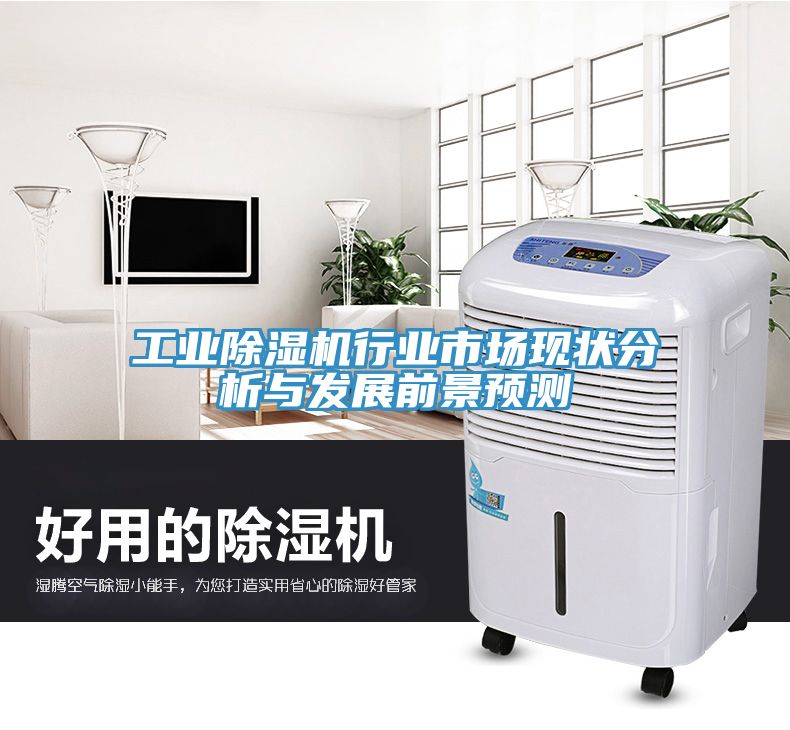 工業除濕機行業市場現狀分析與發展前景預測