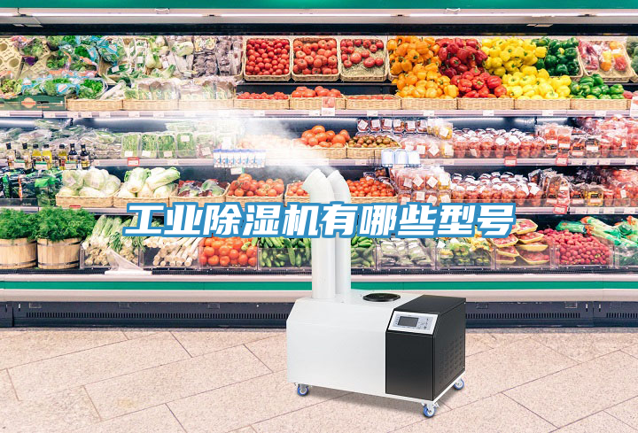 工業除濕機有哪些型號