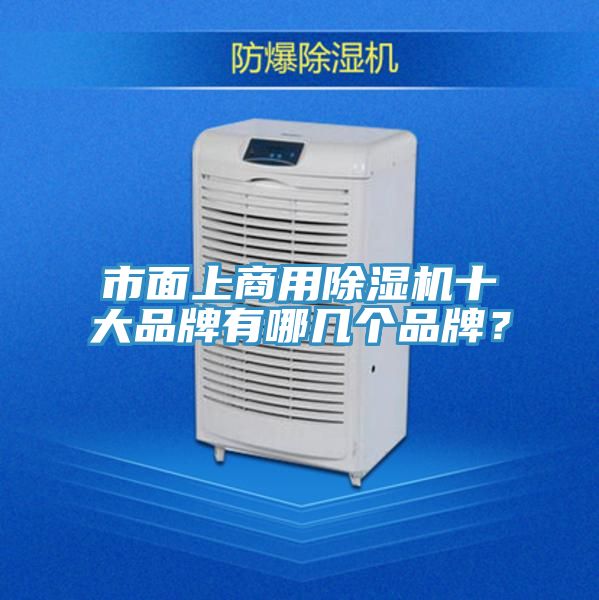 市面上商用除濕機(jī)十大品牌有哪幾個品牌？
