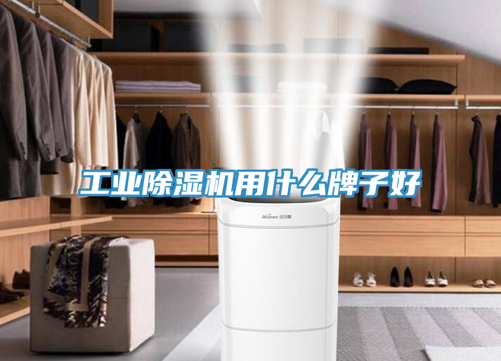 工業(yè)除濕機(jī)用什么牌子好