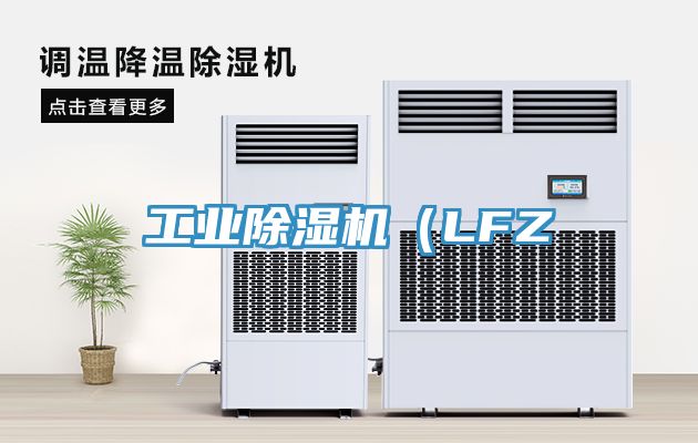工業(yè)除濕機(jī)（LFZ