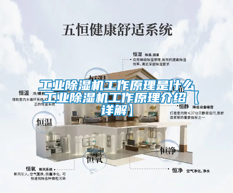 工業除濕機工作原理是什么 工業除濕機工作原理介紹【詳解】