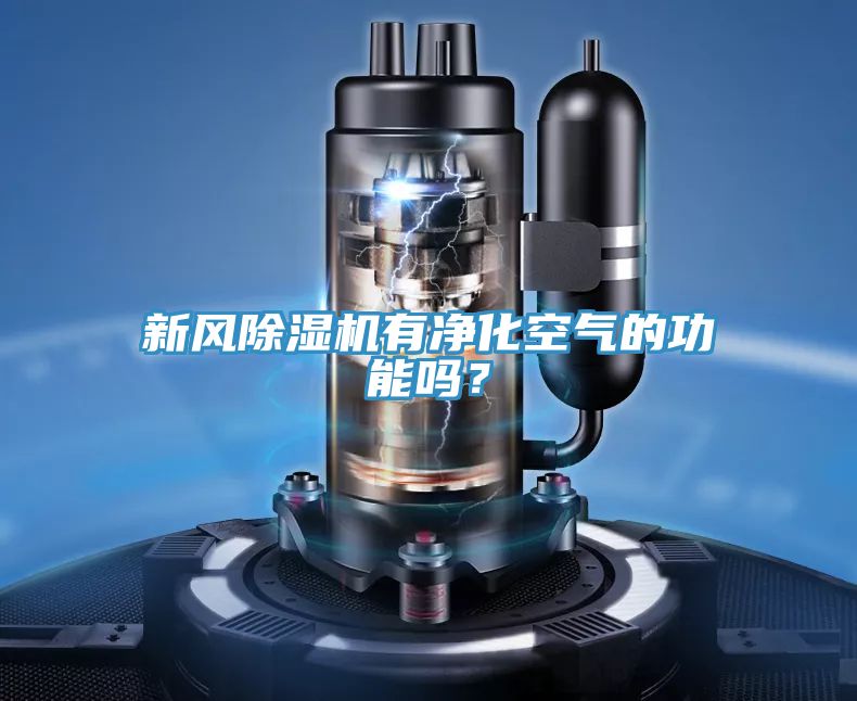 新風(fēng)除濕機(jī)有凈化空氣的功能嗎？