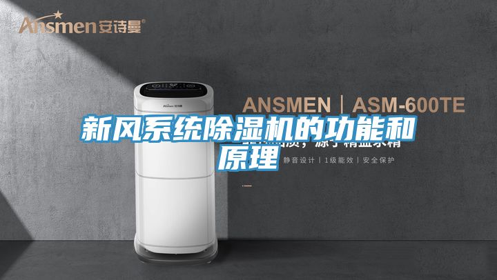 新風系統除濕機的功能和原理