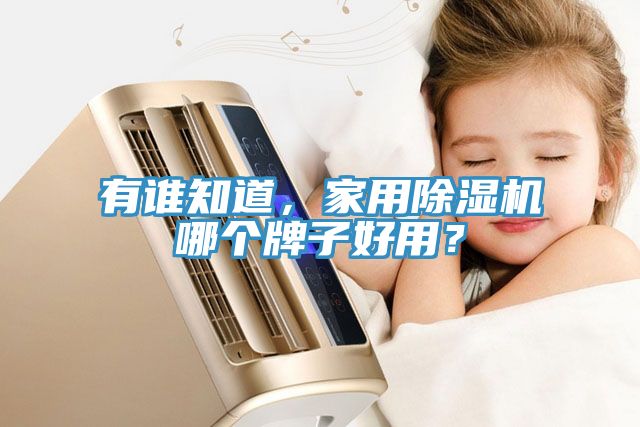 有誰知道，家用除濕機(jī)哪個牌子好用？