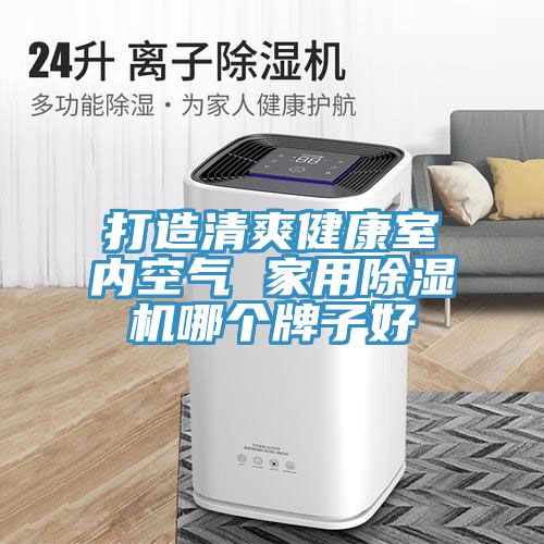 打造清爽健康室內空氣 家用除濕機哪個牌子好