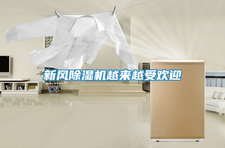 新風除濕機越來越受歡迎