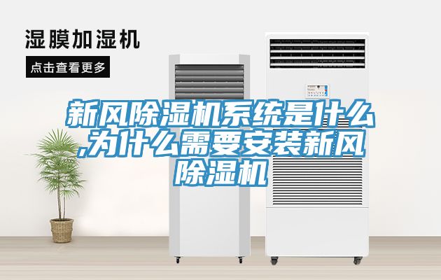 新風除濕機系統(tǒng)是什么,為什么需要安裝新風除濕機