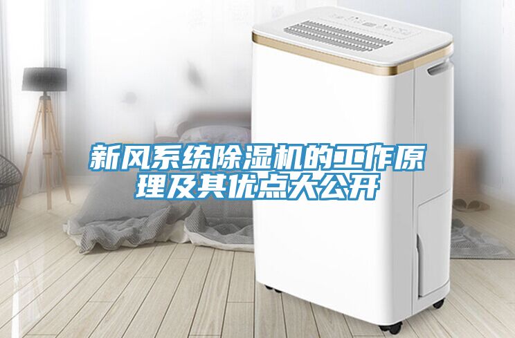 新風系統除濕機的工作原理及其優點大公開