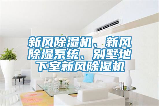 新風除濕機、新風除濕系統、別墅地下室新風除濕機