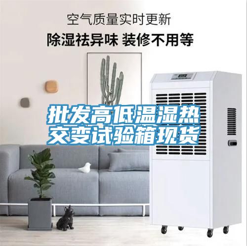 批發高低溫濕熱交變試驗箱現貨