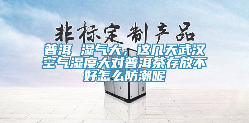 普洱 濕氣大，這幾天武漢空氣濕度大對普洱茶存放不好怎么防潮呢