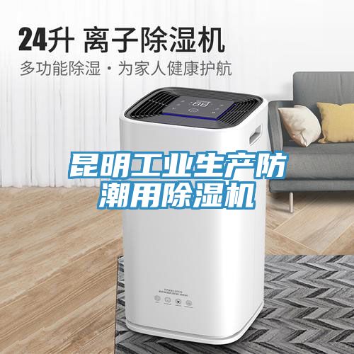 昆明工業生產防潮用除濕機