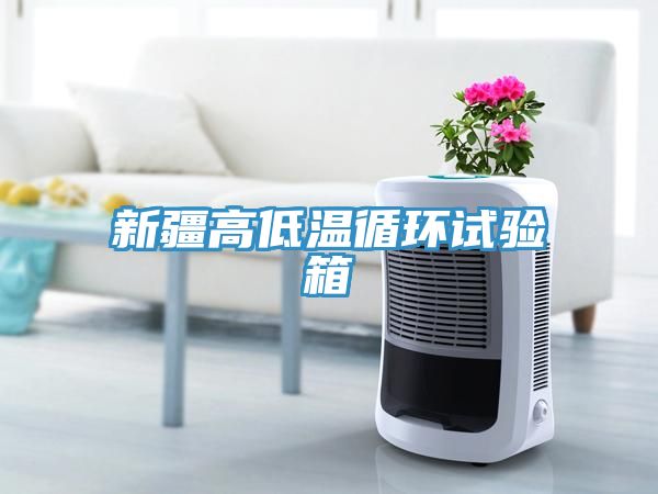 新疆高低溫循環試驗箱