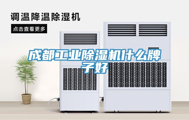 成都工業除濕機什么牌子好