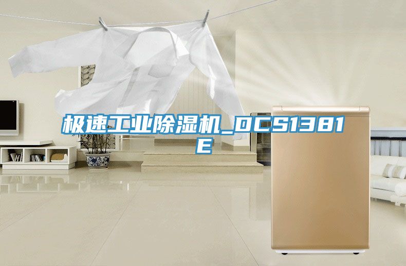 極速工業除濕機_DCS1381E