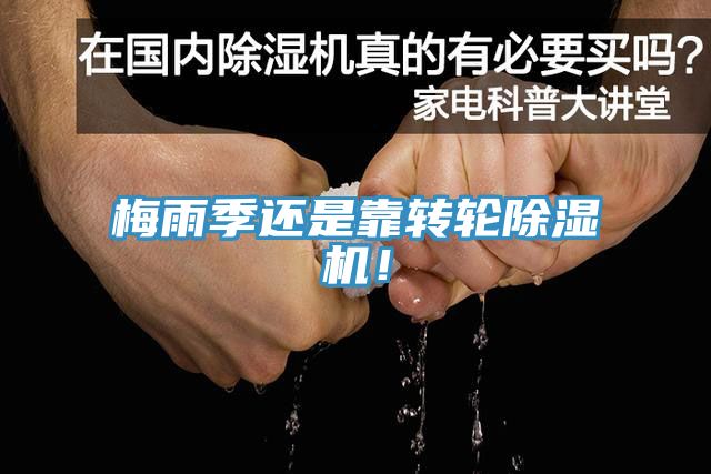 梅雨季還是靠轉輪除濕機！