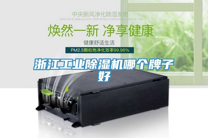 浙江工業除濕機哪個牌子好
