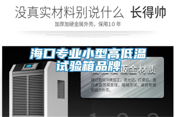 ?？趯I小型高低溫試驗箱品牌