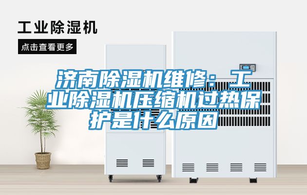 濟南除濕機維修：工業(yè)除濕機壓縮機過熱保護是什么原因