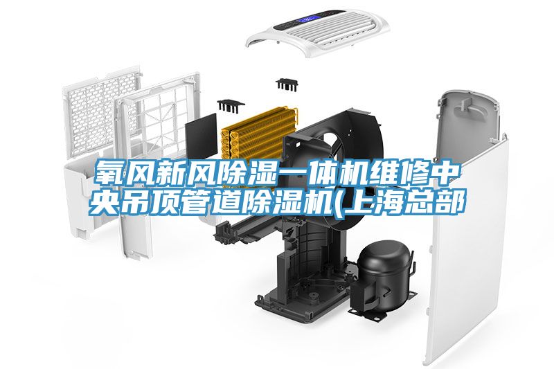 氧風(fēng)新風(fēng)除濕一體機(jī)維修中央吊頂管道除濕機(jī)(上海總部