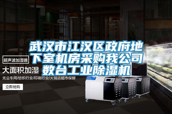 武漢市江漢區(qū)政府地下室機(jī)房采購我公司數(shù)臺工業(yè)除濕機(jī)