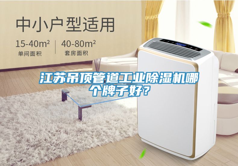 江蘇吊頂管道工業(yè)除濕機(jī)哪個牌子好？