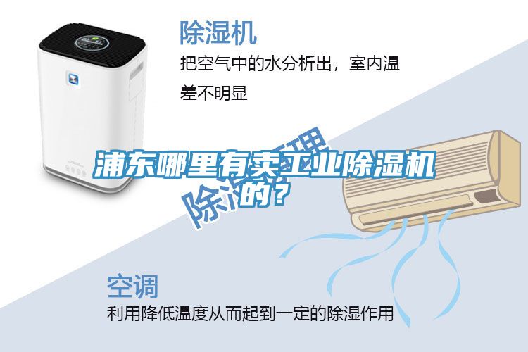 浦東哪里有賣工業(yè)除濕機的？