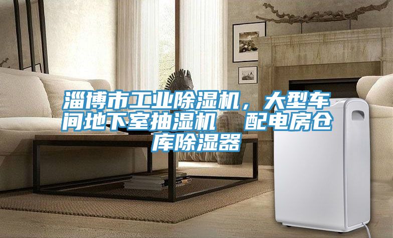 淄博市工業(yè)除濕機(jī)，大型車間地下室抽濕機(jī)  配電房倉(cāng)庫(kù)除濕器