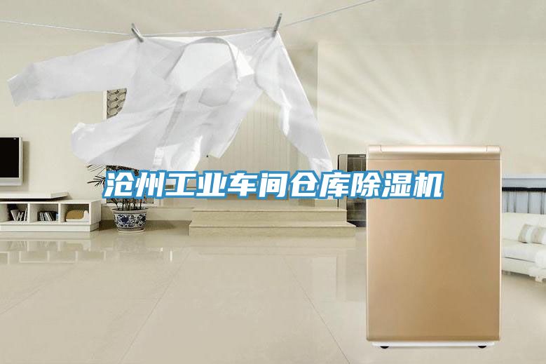 滄州工業車間倉庫除濕機