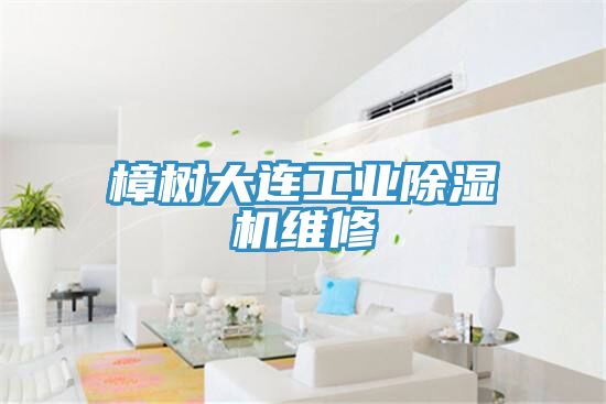 樟樹大連工業除濕機維修