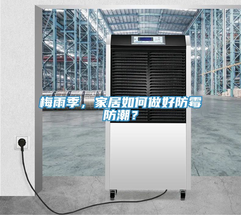 梅雨季，家居如何做好防霉防潮？