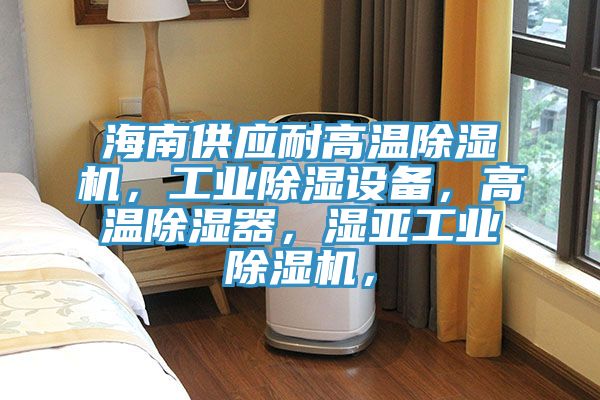 海南供應(yīng)耐高溫除濕機，工業(yè)除濕設(shè)備，高溫除濕器，濕亞工業(yè)除濕機，