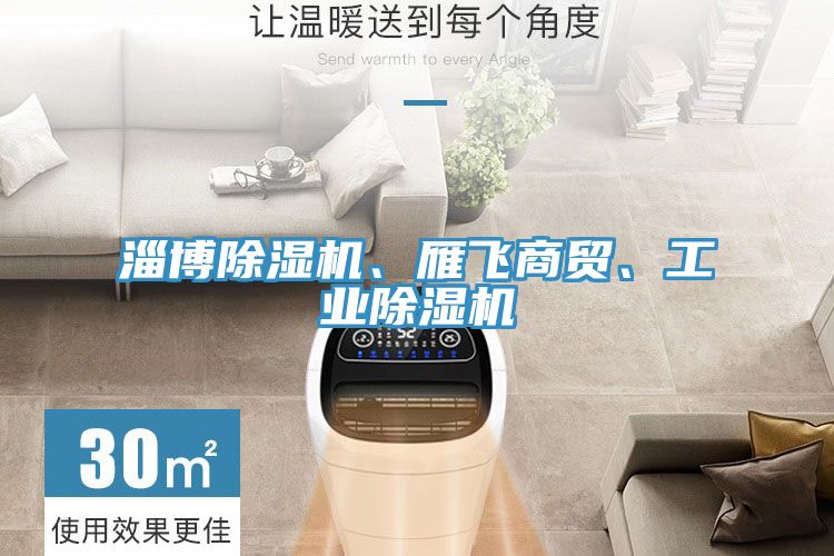 淄博除濕機(jī)、雁飛商貿(mào)、工業(yè)除濕機(jī)