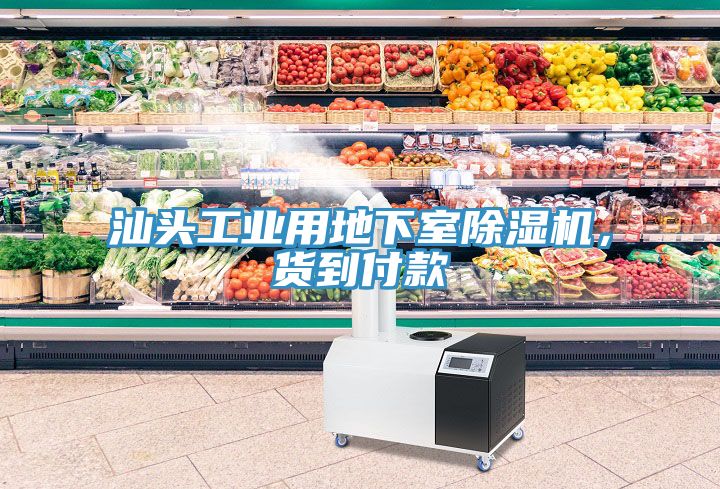汕頭工業(yè)用地下室除濕機(jī)，貨到付款