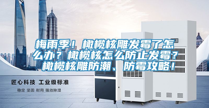 梅雨季！橄欖核雕發霉了怎么辦？橄欖核怎么防止發霉？ 橄欖核雕防潮、防霉攻略！