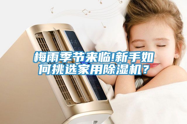 梅雨季節來臨!新手如何挑選家用除濕機？