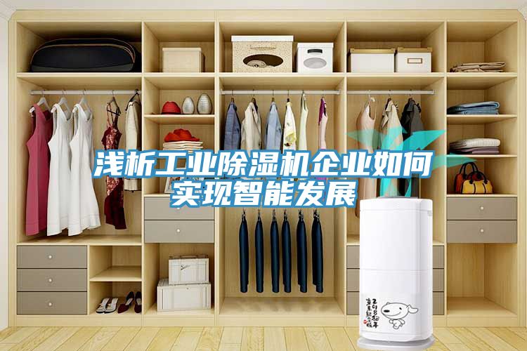 淺析工業除濕機企業如何實現智能發展