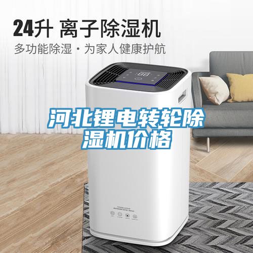 河北鋰電轉輪除濕機價格