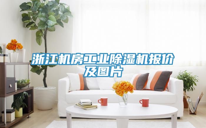 浙江機房工業除濕機報價及圖片