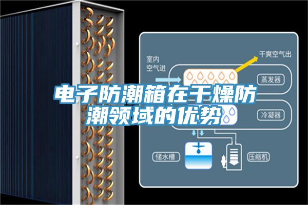 電子防潮箱在干燥防潮領域的優勢