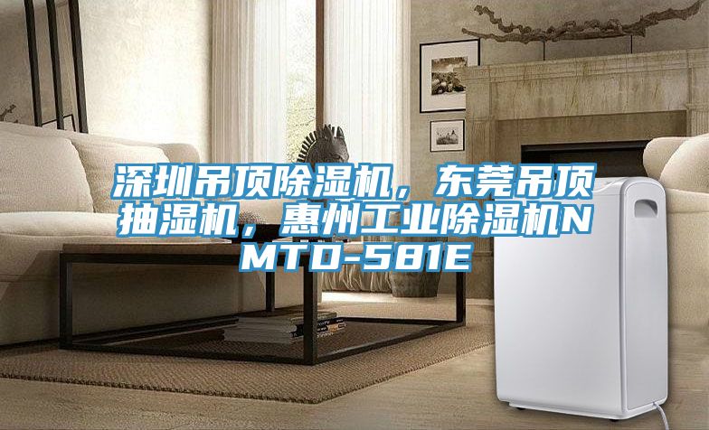 深圳吊頂除濕機(jī)，東莞吊頂抽濕機(jī)，惠州工業(yè)除濕機(jī)NMTD-581E