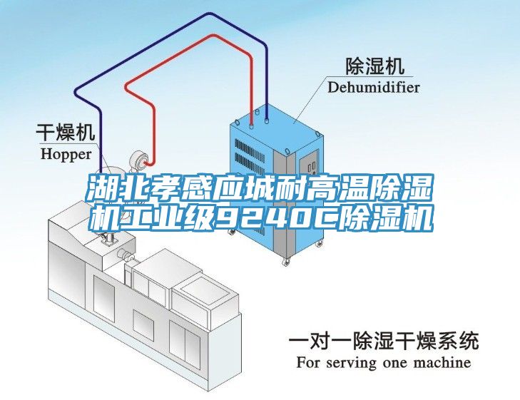 湖北孝感應城耐高溫除濕機工業級9240C除濕機
