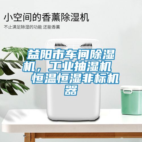 益陽市車間除濕機，工業抽濕機  恒溫恒濕非標機器