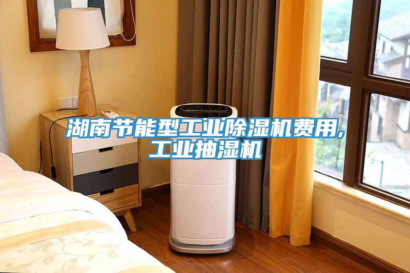 湖南節能型工業除濕機費用,工業抽濕機