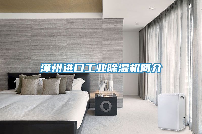 漳州進口工業除濕機簡介