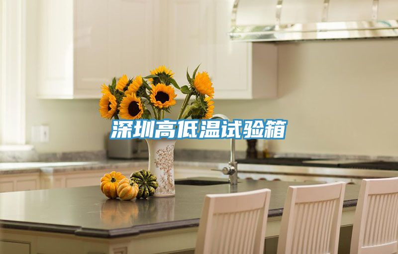 深圳高低溫試驗箱