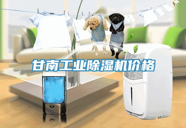 甘南工業除濕機價格